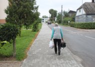 Pagrindiniai miesto skauduliai – šeimininkų apleisti šunys ir pastatai