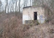 Viešieji pirkimai: tris apleistus statinius griaus už 230 tūkst. eurų
