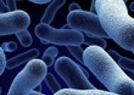 Legioneliozė. Vienas pavojingos ligos atvejis praėjusiais metais buvo diagnozuotas ir Jurbarke
