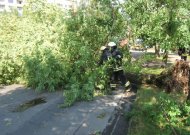 Ugniagesiai perspėja dėl vėjo, o ESO - ką daryti atsidūrus prie nutrūkusio elektros laido