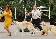 Pamatyti Lietuvoje retų šunų veislių – į Jurbarko Dvaro parką