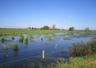 Visi nukentėję ūkininkai raginami nedelsiant kreiptis į savivaldybes