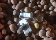 Skirsnemunės gyventojas, narkotikus „užkonservavo“ pipiruose ir paslėpė bulvėse