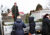 Rajono miškininkai dalins eglių šakas (sužinokite, kur ir kada)