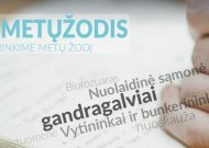 Išrinkti 2017-ųjų Metų žodis ir Metų posakis. Švaistuomenė bei Jaučiuosi, kaip Gedimino kalnas