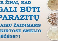 Ar žinai, kad vaikų žaidimams skirtose smėlio dėžėse gali būti parazitų?!