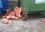 Prie konteinerio - išmėsinėtos kiaulės kaulai