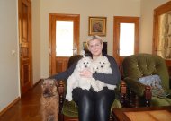 Fotosesijai pasiruošę – trys gražuoliai pudeliukai Amiga, Ben 10, Boom bomm Egidijos glėbyje ir šalia įsitaisiusi Čilė.