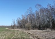 Skelbiama gyventojų apklausa dėl planuojamos durpių gavybos Dainių kaime