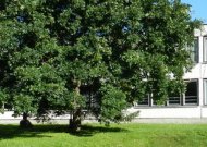 Smalininkų L. Meškaitytės pagrindinė mokykla priima priešmokyklinukus ir mokinius
