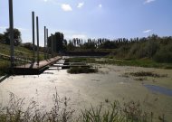 Mažųjų laivelių prieplaukos valymas – rudenį ar pavasarį?