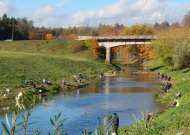 Žvejai apgulė Mituvos pakrantes – traukia kuojas, šapalus, raudes