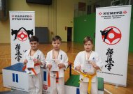 Atvirose rajono karate pirmenybėse - įspūdingas jurbarkiečių iškovotų medalių skaičius