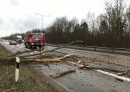 Vėjuotas savaitgalis Jurbarke trikdė eismą ir elektros tiekimą