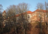 Panemunės pilies pašonėje kertami medžiai sulaukia dvejopo vertinimo