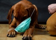 Veterinarijos gydyklos-vaistinės prašymas jurbarkiečiams
