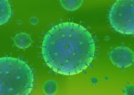 Lietuvoje – pirmasis vietinis koronaviruso infekcijos atvejis (savivaldybė informuoja apie situaciją rajone)
