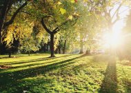 Siekiant suvaldyti grėsmes, keičiasi tvarka parkuose ir kitose viešose erdvėse