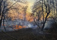 Gaisrai Černobylio zonoje pavojaus Lietuvos gyventojų sveikatai nekelia