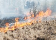 Viešvilės seniūnijoje nuo nutrūkusių elektros laidų užsidegė žolė