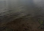 Po pakartotinių Nemuno vandens tyrimų - gera ir bloga žinios