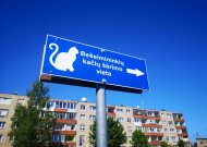 Bešeimininkių kačių šėrykla atsidūrė „podukros“ vietoje