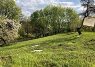 Raudonėje kuriasi naujas muziejus – MUMI