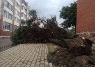 Jurbarke prašniokštusi audra vartė medžius, užtvindė gatves