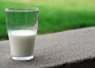 Skirsnemunės pieno supirkimo punkte darbavosi vagys