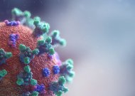 Lietuvoje – 6 nauji užsikrėtimo koronavirusu atvejai