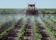 Techninė apžiūra bus privaloma visai pesticidų purškimo įrangai