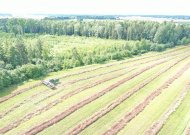 Kartu įsigiję kmynų pjovimo į pradalges kombainą, kooperatyvo nariai gali greitai ir kokybiškai nukulti vaistingąsias sėklas.