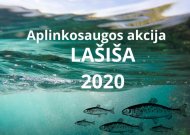 Nuo spalio 16 d. draudžiama limituota lašišų ir šlakių žvejyba