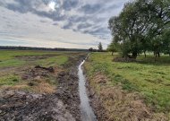 Vykdomi sureguliuoto Akmenos upelio tvarkymo darbai