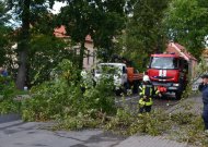 Ugniagesiai gelbėtojai perspėja dėl stipraus vėjo