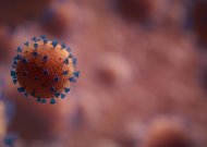 Lietuvoje per šeštadienį patvirtinta 415 koronavirusinės infekcijos atvejų
