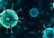 Koronaviruso infekcijos židiniai rajone plečiasi: fiksuojami susirgimai įmonėse