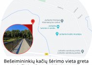 Bešeimininkių kačių šėrimo vieta Jurbarke perkelta į naują vietą