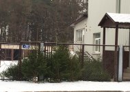 Jurbarko miškų urėdija pradėjo prekybą eglutėmis