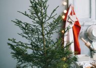 Eglutes ir šakas palikite prie konteinerių – surinks „Jurbarko komunalininkas“