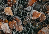 Kokią temperatūrą geriausia palaikyti namuose žiemą?