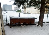 Būkit gailestingi mažiesiems mūsų draugams – nepraeikite pro šalį matydami beglobį šąlantį gyvūną – pamaitinkite, sušildykite, dažniau nuneškite šilto maisto į maitinimo vietas, kurios įrengtos Kudirkos ir Algirdo gatvėse.