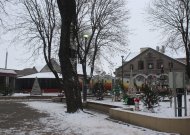 Dėkojame kalėdinių eglučių parkelio kūrėjams