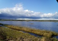 Vasario 2-oji – Pasaulinė pelkių diena