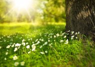 Jurbarkiečiai kviečiami švęsti pavasario lygiadienio šventę „Saulės varteliai“