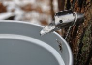 Kaip tinkamai leisti sulą?