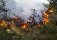 Vakar po pietų Molynės kaime užsiliepsnojo žolė