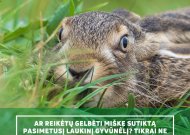 Gyvūnų gerovės specialistai prašo neliesti rastų laukinių gyvūnų
