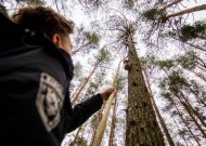 Aplinkos ministerija skyrė 10 skatinamųjų stipendijų pasirinksiantiems miškininkystės studijas