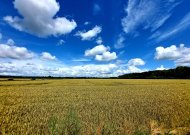 Ugniagesiai pradeda reidus. Primena, ką ūkininkai turi žinoti ir turėti, kad javapjūtė būtų saugi